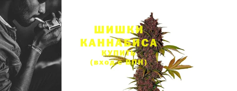 Бошки марихуана OG Kush  Камень-на-Оби 